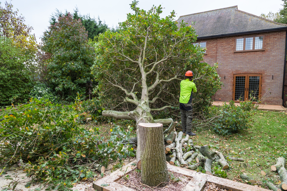 Tree Pruning in West Midlands