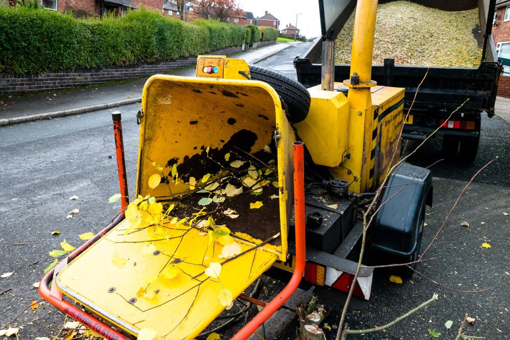 Tree Removal in Kingswinford