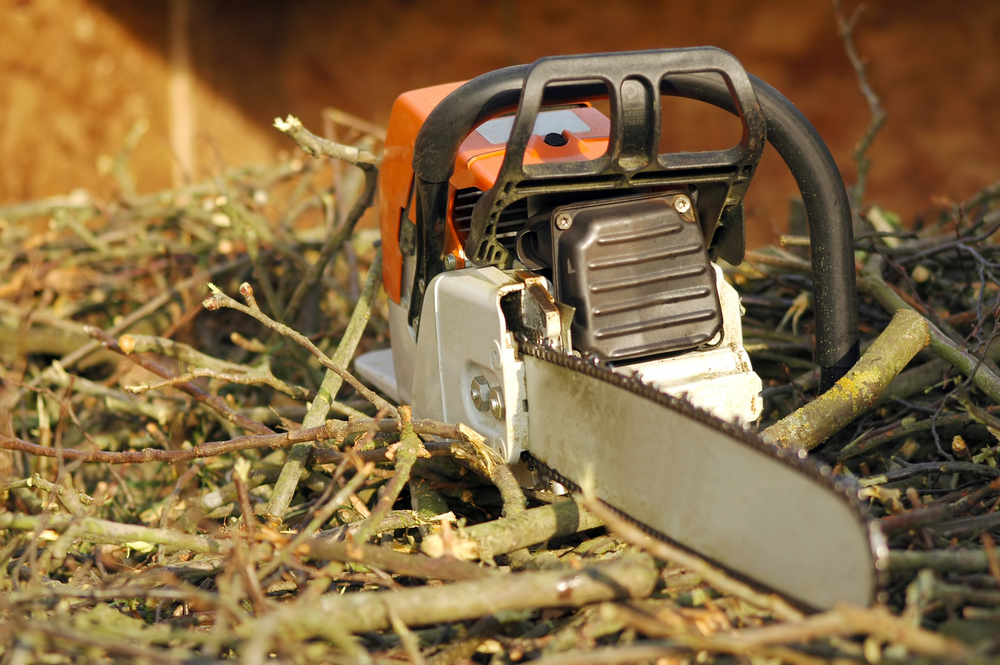 Tree Pruning in West Midlands